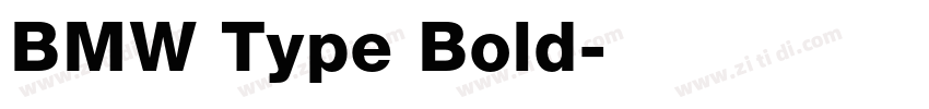 BMW Type Bold字体转换